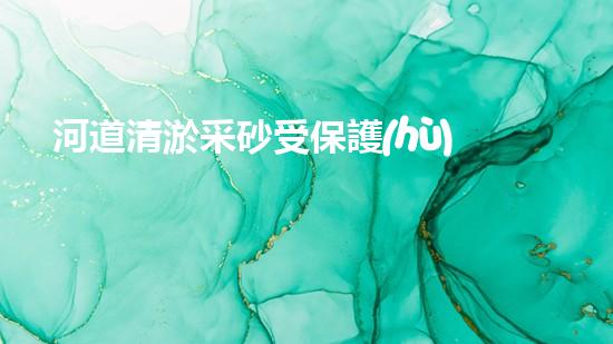 河道清淤采砂受保護(hù)嗎清淤工程如何提升水體生態(tài)？專家解密施工技巧與實(shí)戰(zhàn)經(jīng)驗(yàn)！